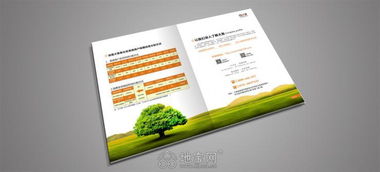 南昌专业平面设计服务 画册、产品包装与logo设计大优惠